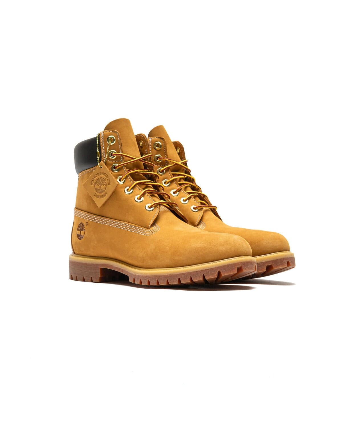 TIMBERLAND